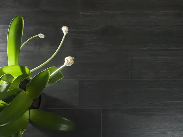 Интерьер Emigres Hardwood - 2