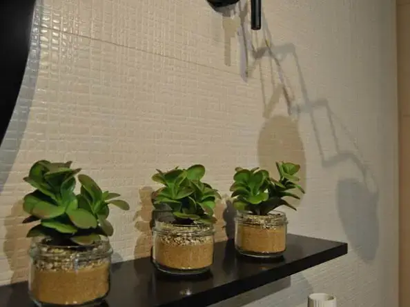 Интерьер Emigres Soft - 2