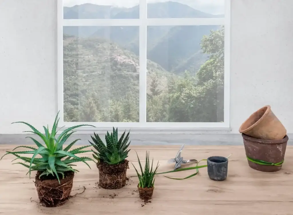 Интерьер LaminamRus Legno Venezia