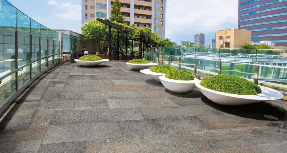 Интерьер Sadon Le Cave