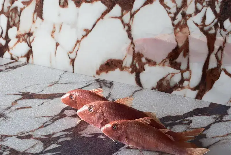 Интерьер 41Zero42 Pulp - 9