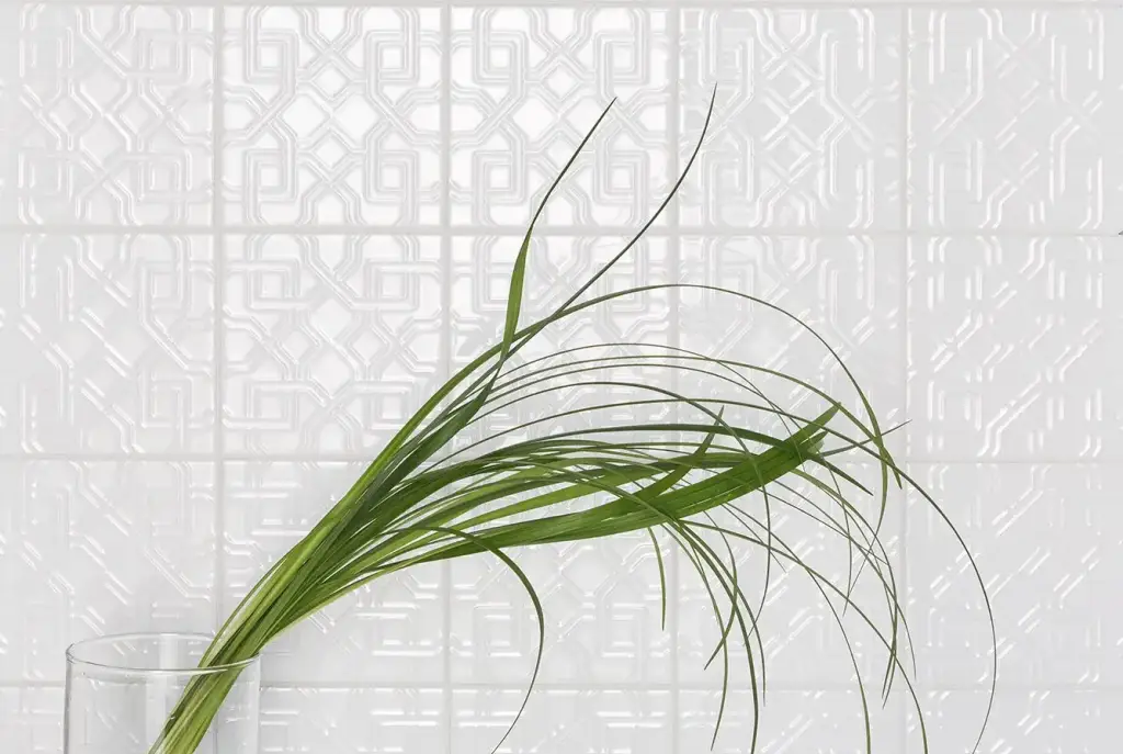 Интерьер 41Zero42 Superclassica Scb - 14