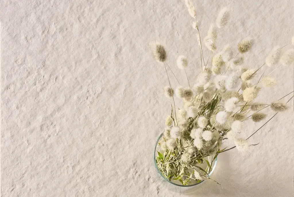 Интерьер 41Zero42 Superclassica Scb - 24