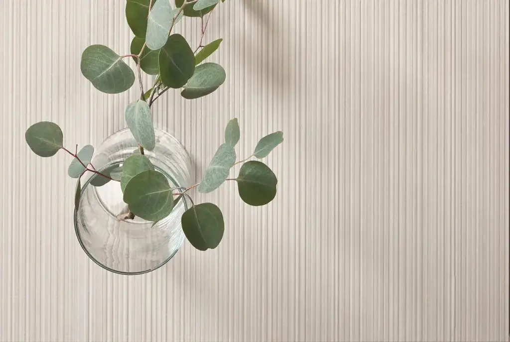 Интерьер 41Zero42 Superclassica Scb - 20