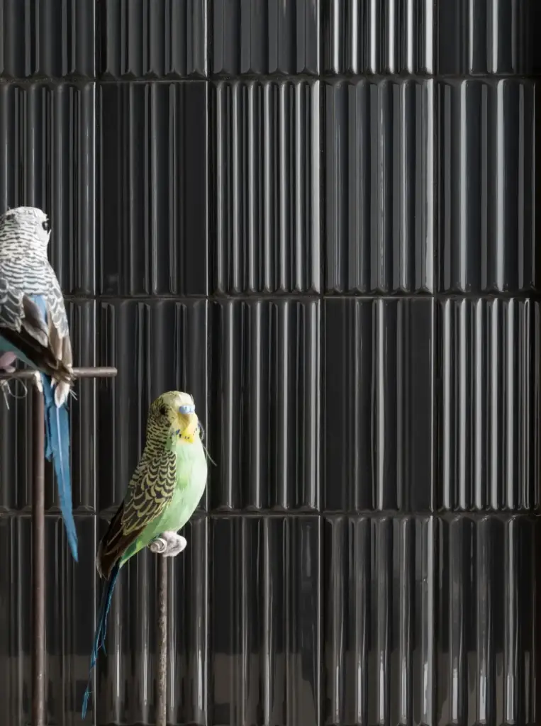 Интерьер 41Zero42 Wigwag - 4