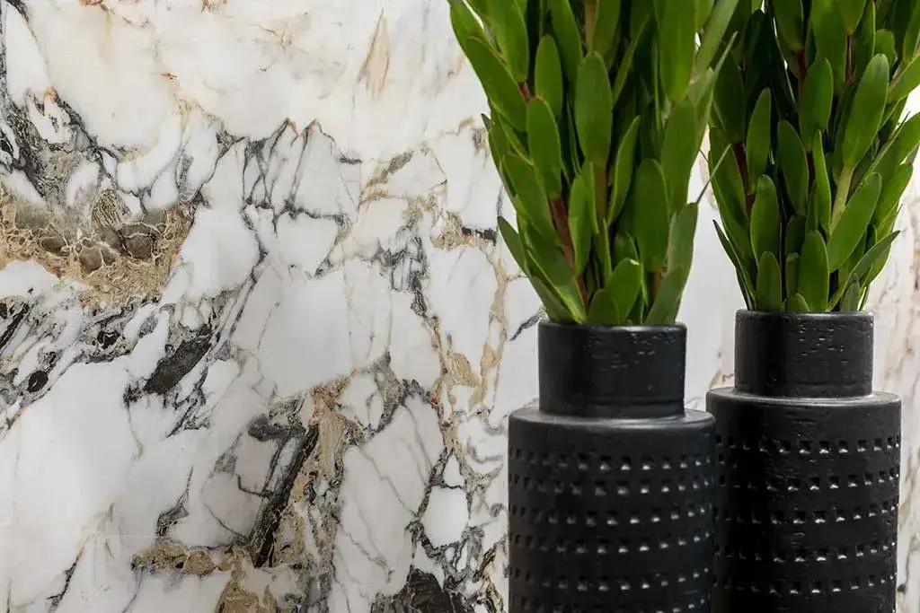 Интерьер Rex Etoile De Rex - 5