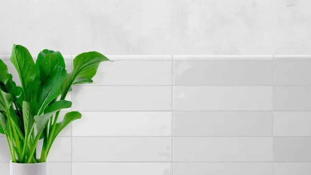 Интерьер Wow Gradient - 1