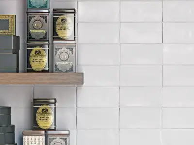 Living Ceramics Mayolica