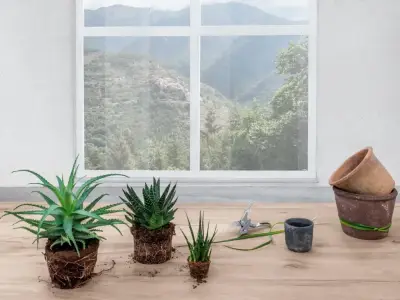 LaminamRus Legno Venezia