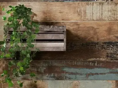 Sant′Agostino Colorart