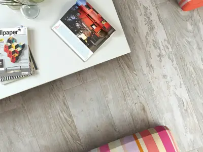 CERDOMUS Club