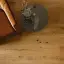 Миниатюра интерьера Serenissima И Ровери / I Roveri