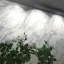 Миниатюра интерьера Idalgo Калакатта