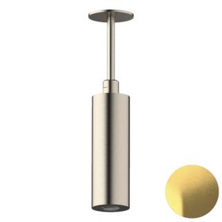 Верхний душ потолочный Daniel Steel SS2A578PELCM15, латунь брашированная PVD