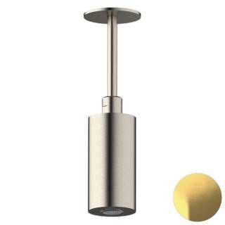 Верхний душ потолочный Daniel Steel SS2A578PELCM10, латунь брашированная PVD