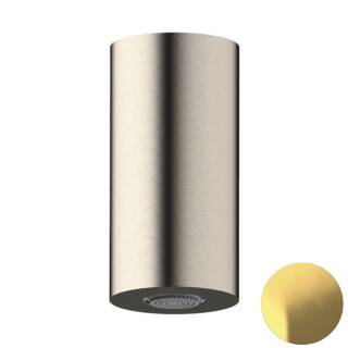 Верхний душ потолочный Daniel Steel SS2A578PECM10, латунь брашированная PVD