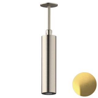 Верхний душ потолочный Daniel Steel SS2A578PELCM20, латунь брашированная PVD