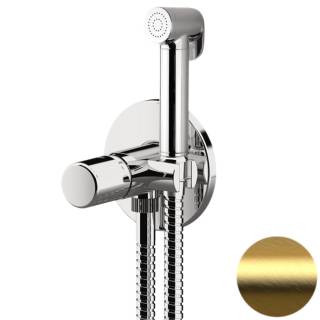 Гигиенический душ со смесителем Daniel Trilogy TG6454DCDP, золото брашированное
