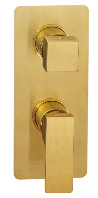 Смеситель для душа Remer Absolute AU93KBBG, золото брашированное