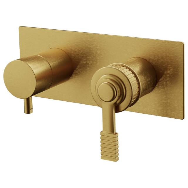 Смеситель для душа Remer Atelier AL93ZWBBG, золото брашированное