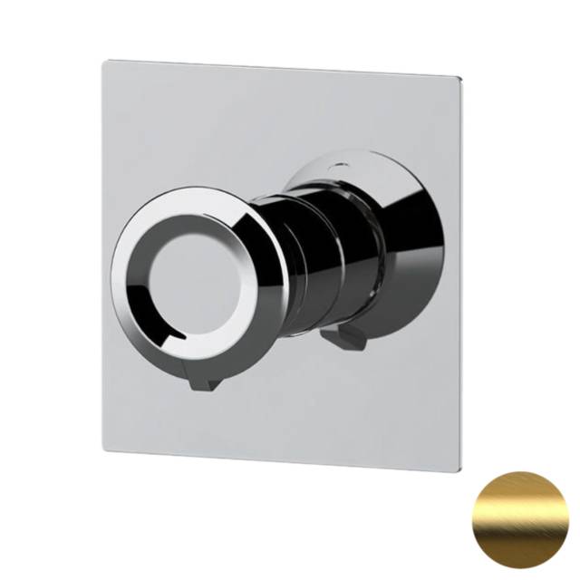 Смеситель для душа Remer Element ET30QBG, золото брашированное
