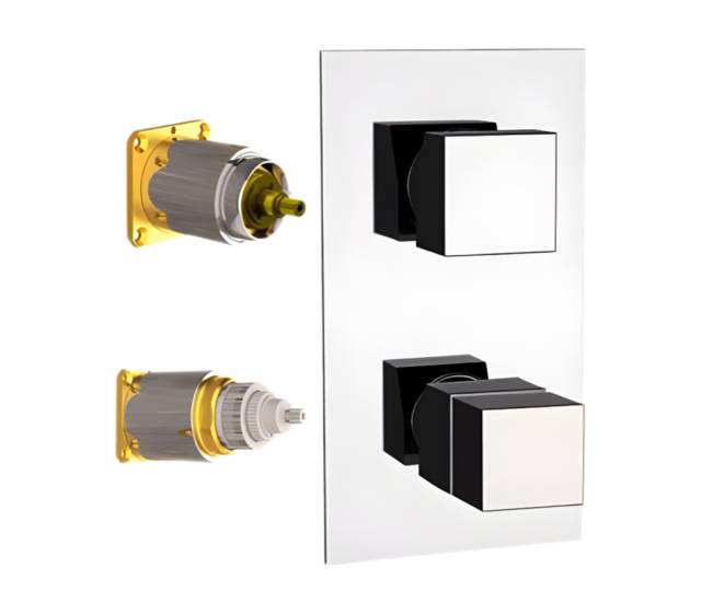 Смеситель термостатический для душа Remer Q-Elegance QT93KB