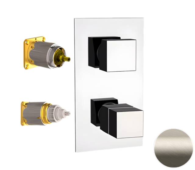 Смеситель термостатический для душа Remer Q-Elegance QT92KBXV, сталь