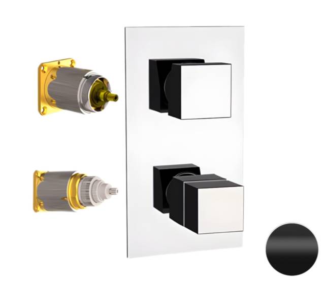 Смеситель термостатический для душа Remer Q-Elegance QT93KBNO, черный матовый