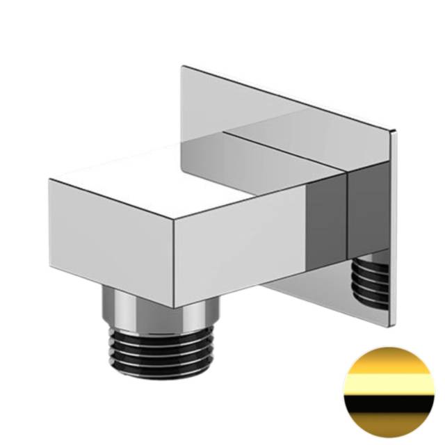 Шланговое подключение для душа Remer 309WDO, золото глянцевое