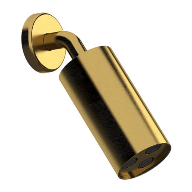 Верхний душ настенный Daniel Steel SS2A578LP, латунь брашированная PVD