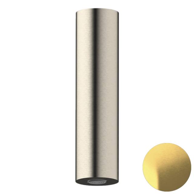 Верхний душ потолочный Daniel Steel SS2A578PECM20, латунь брашированная PVD