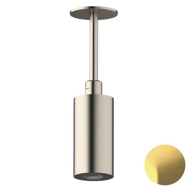 Верхний душ потолочный Daniel Steel SS2A578PELCM10, латунь брашированная PVD