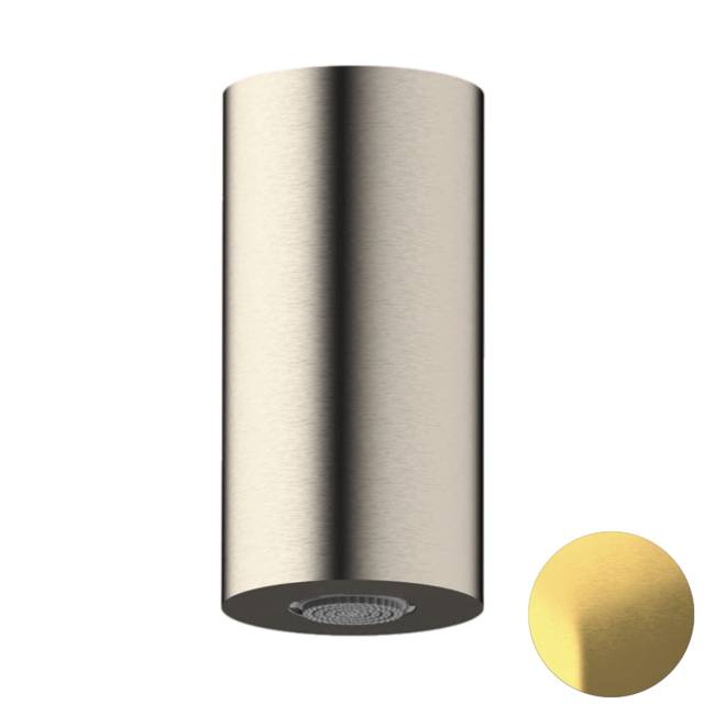 Верхний душ потолочный Daniel Steel SS2A578PECM10, латунь брашированная PVD