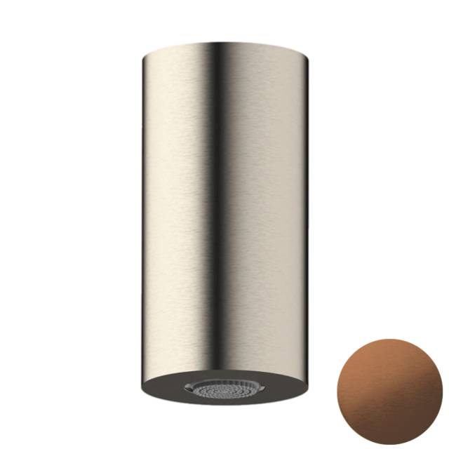 Верхний душ потолочный Daniel Steel SS3A578PECM10, медь брашированная PVD