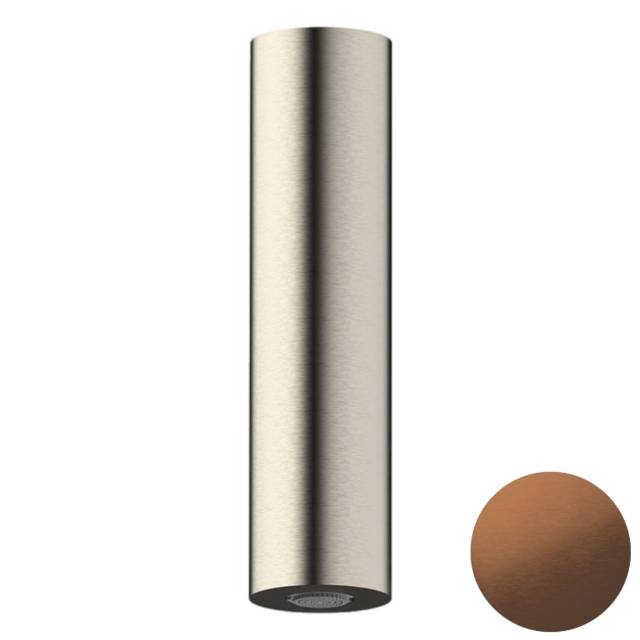 Верхний душ потолочный Daniel Steel SS3A578PECM20, медь брашированная PVD