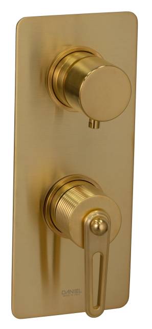 Смеситель для душа Daniel Brooklyn BY612D2KBDP, золото брашированное