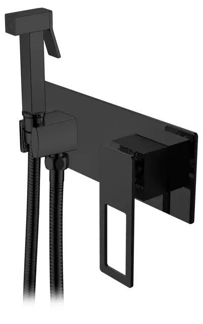Boheme Q Гигиенический душ со смесителем и встраиваемой частью, цвет: black 147-BВ