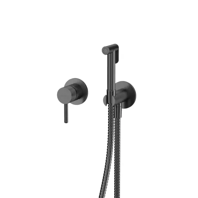 Система для биде скрытого монтажа WHITECROSS Y SYSYBI1GM (оружейная сталь)