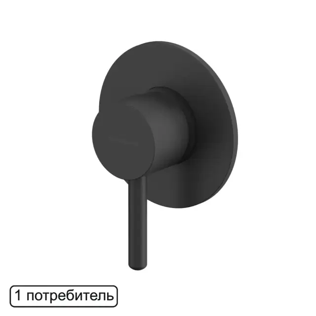 Смеситель скрытого монтажа на 1 потребитель WHITECROSS Y Y1245BL (черный мат)