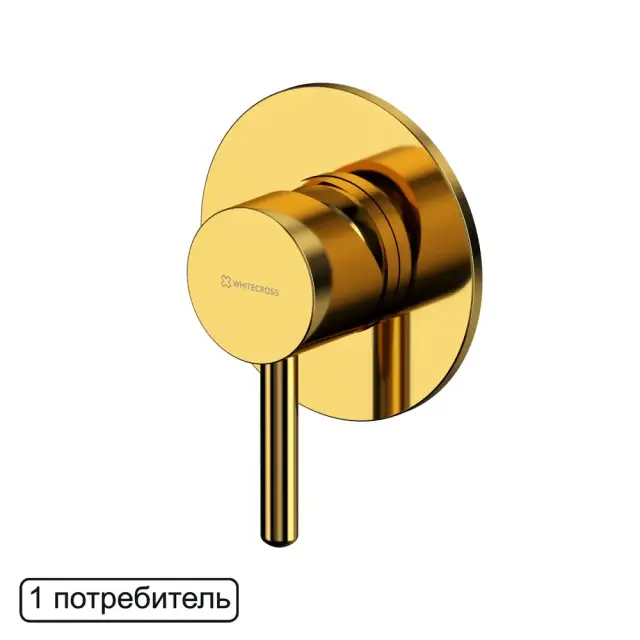 Смеситель скрытого монтажа на 1 потребитель WHITECROSS Y Y1245GL (золото)