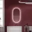 Зеркало для ванной комнаты SANCOS Овал (Oval) фронтальная подсветка 55x105 с сенсорным управлением на прикосновение, арт. OV55F