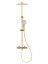 Душевая система WONZON & WOGHAND STICK, Брашированное золото (WW-88739017-BG)