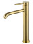 Смеситель для раковины высокий WONZON & WOGHAND STICK, Брашированное золото (WW-88239017-BG)