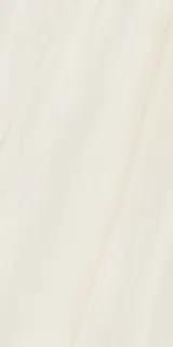 ANIMA WONDER SNOW 60X120 LISCIO MATT