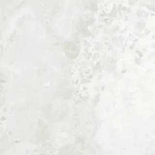 AMAZING BIANCO RETT 60X120