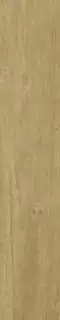 QUERCUS MIELE 22X120