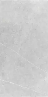 NORTHON LIGHT GREY MT 60X120