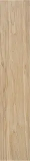 HAVSTA CAMEL MT 23X120