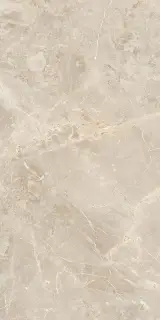 SUVEYA BRECCIA 60X120