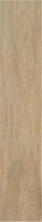 TACORA CAMEL MT 23X120
